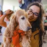 Propatinhas e Sinpatinhas: 2 programas para aumentar cuidado com pets