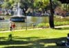 Guia dos Parques de BH: os melhores refúgios verdes para um piquenique ou simplesmente relaxar