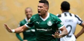 Paulinho no Palmeiras