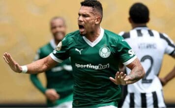 Paulinho no Palmeiras