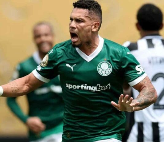Paulinho no Palmeiras