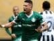 Paulinho no Palmeiras