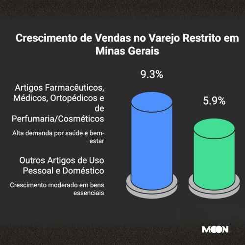 Infográfico sobre comércio em minas gerais em 2025 - exclusivo