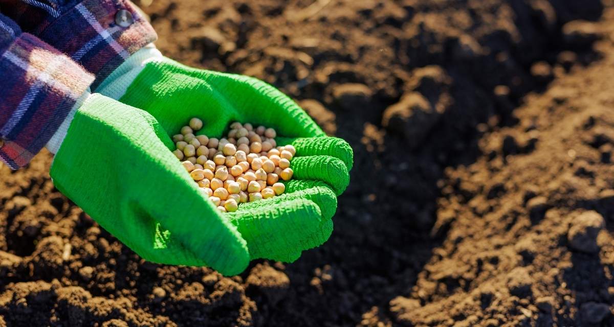 Adubo minas gerais fertilizantes