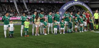 Time o Palmeiras em campo