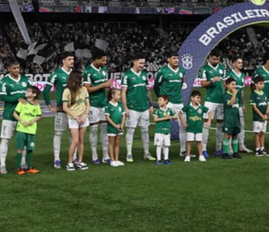 Time o Palmeiras em campo