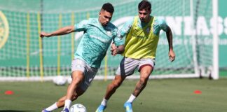 Foto: Cesar Greco / Palmeiras