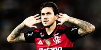 Pedro em campo no Flamengo após gol