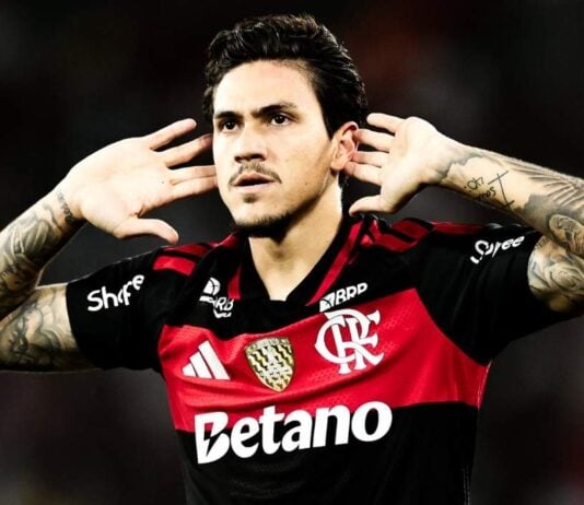 Pedro em campo no Flamengo após gol