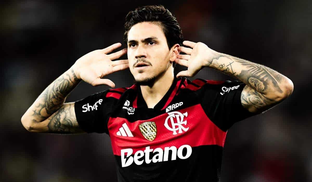 Pedro em campo no Flamengo após gol