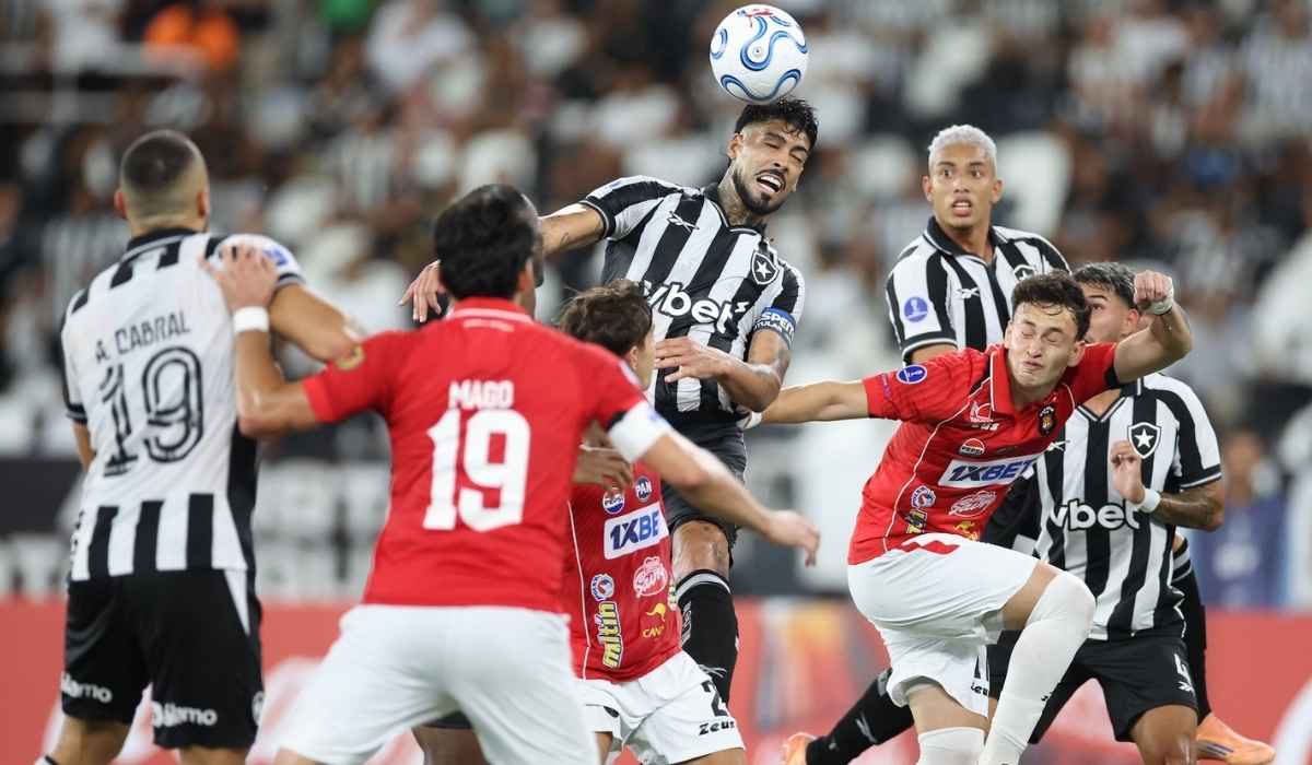 Time do Botafogo em campo