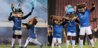 Cabulosa, Raposão e Raposinho - mascotes do Cruzeiro