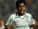 O jogador Luighi, da SE Palmeiras, comemora seu gol
