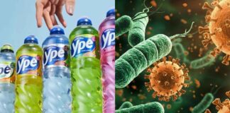 Pseudomonas aeruginosa no Ypê