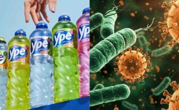 Pseudomonas aeruginosa no Ypê