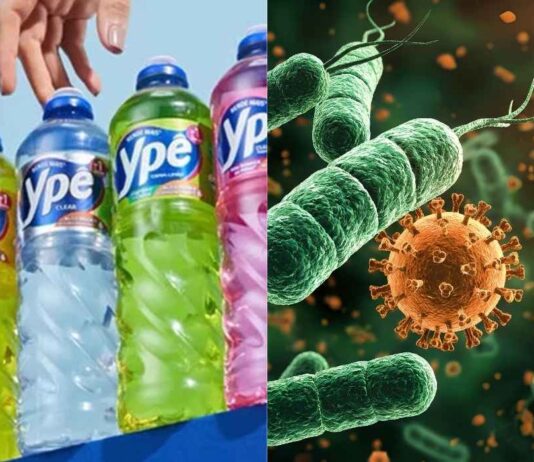 Pseudomonas aeruginosa no Ypê