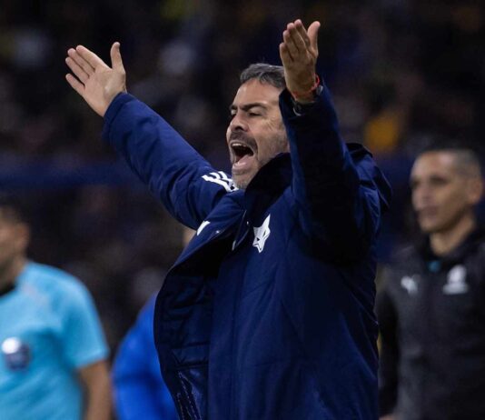 Treinador do Cruzeiro, Artur Jorge