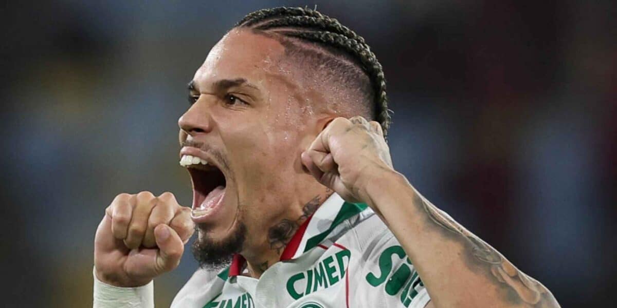 Paulinho em campo pelo Palmeiras