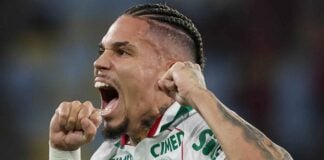 Paulinho em campo pelo Palmeiras