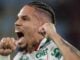 Paulinho em campo pelo Palmeiras