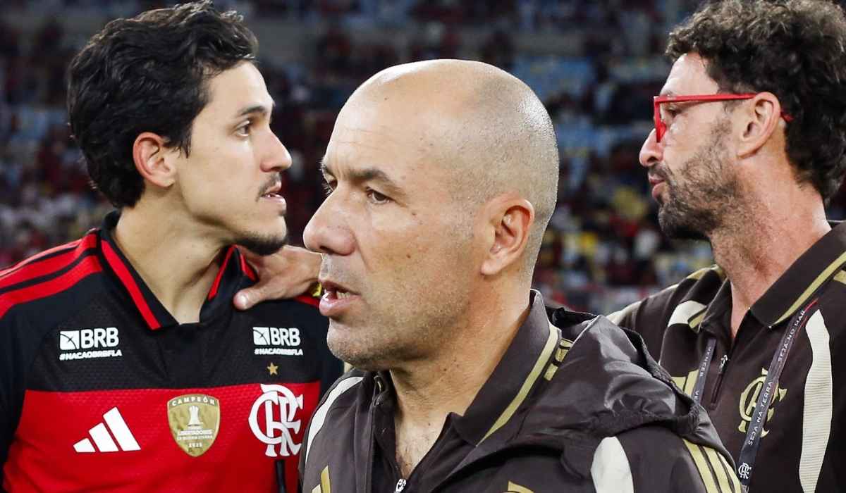 pedro e leonardo jardim no flamengo
