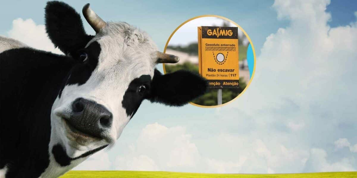 Gasmig biometano Minas Gerais