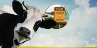 Como querem transformar o lixo do agro em energia para a casa dos mineiros Gasmig biometano Minas Gerais