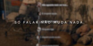 ONG Amar é Simples