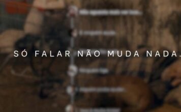 ONG Amar é Simples