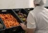 BH serve 400 mil refeições por dia nas escolas; veja como os cardápios são definidos