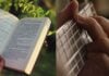 Evento internacional gratuito transforma poesia em som, imagem e performance em BH