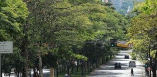 Inventário das árvores BH