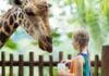 Criança no zoológico