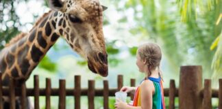 Criança no zoológico