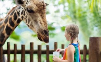 Criança no zoológico