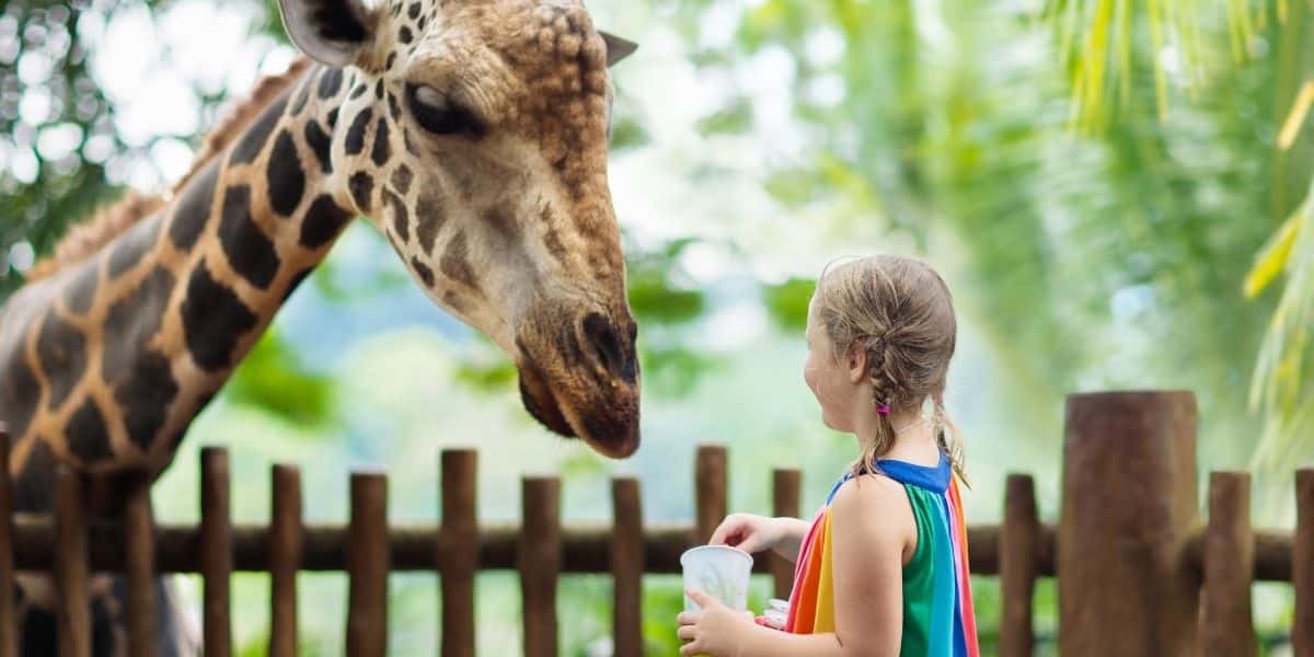 Criança no zoológico